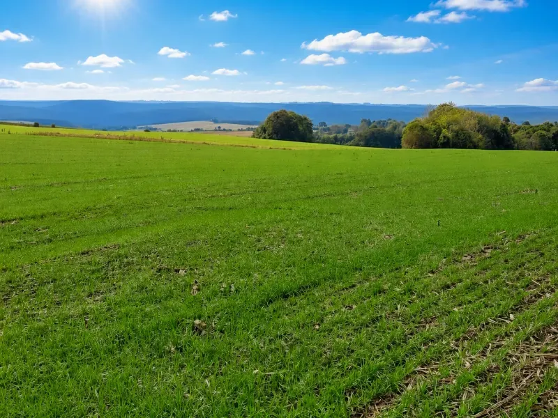 Fazenda em Canoinhas/Santa Catarina — Ref IO70MZ — Imagem 11