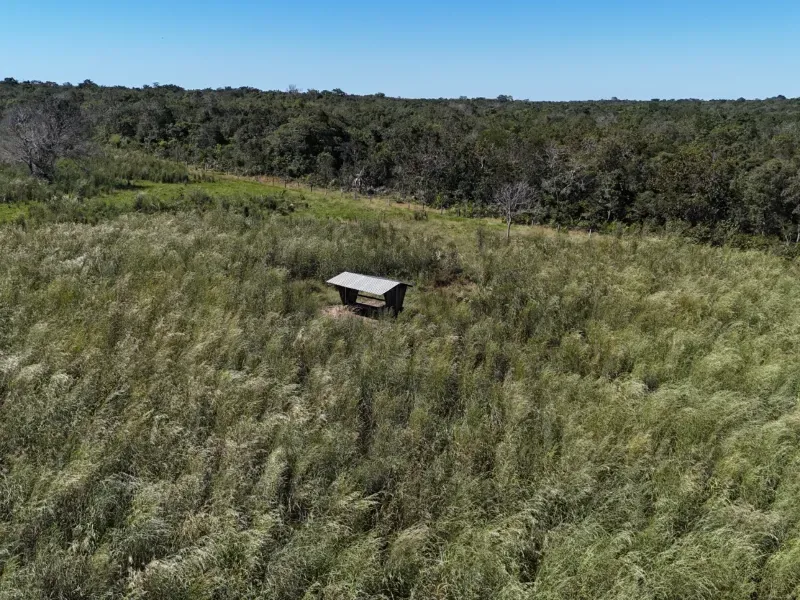 Imóvel rural em Chapada de Areia/Tocantins — Ref PKT0DG1