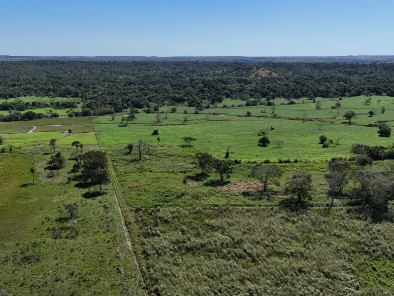 Fazenda em Chapada de Areia/Tocantins — Ref PKT0DG — Imagem 2