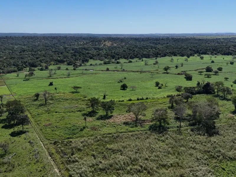 Fazenda em Chapada de Areia/Tocantins — Ref PKT0DG — Imagem 4