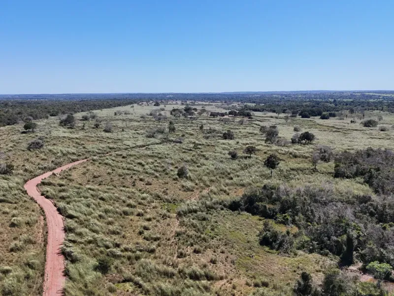 Fazenda em Chapada de Areia/Tocantins — Ref PKT0DG — Imagem 5