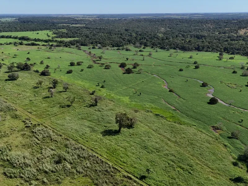 Fazenda em Chapada de Areia/Tocantins — Ref PKT0DG — Imagem 6
