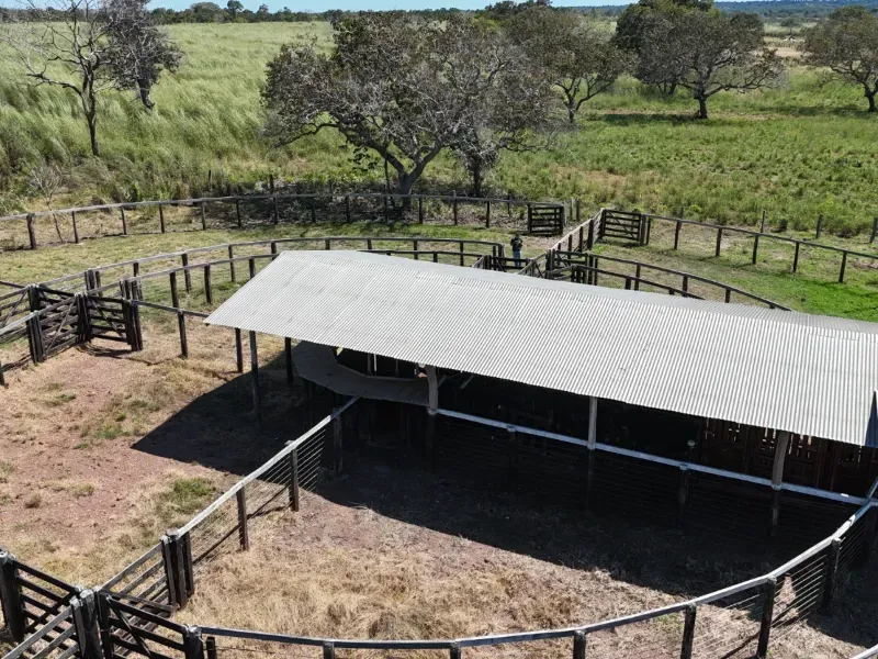 Fazenda em Chapada de Areia/Tocantins — Ref PKT0DG — Imagem 7