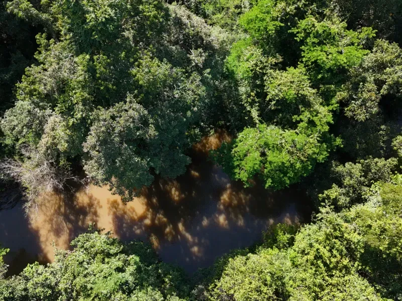 Fazenda em Chapada de Areia/Tocantins — Ref PKT0DG — Imagem 9