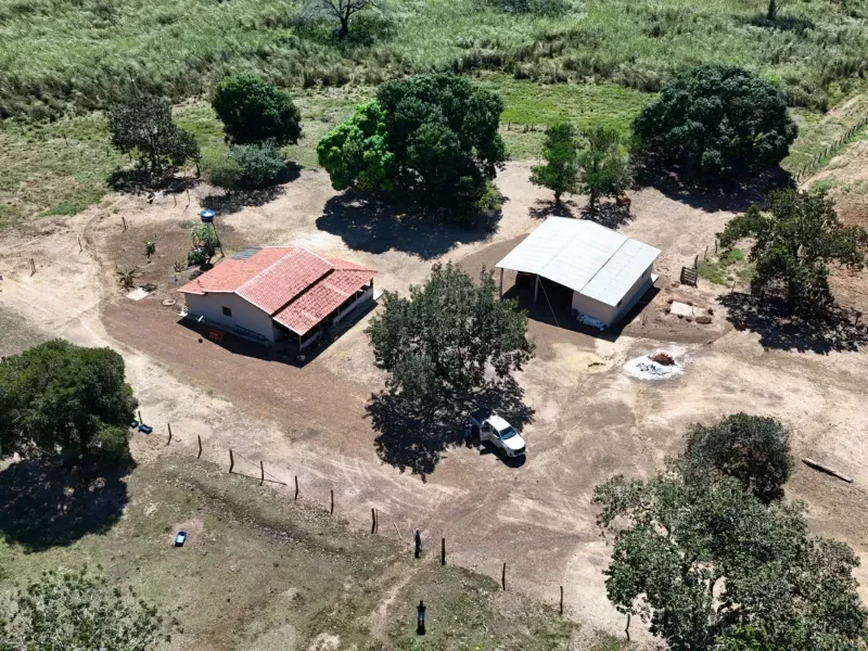 Fazenda em Chapada de Areia/Tocantins — Ref PKT0DG — Imagem 10