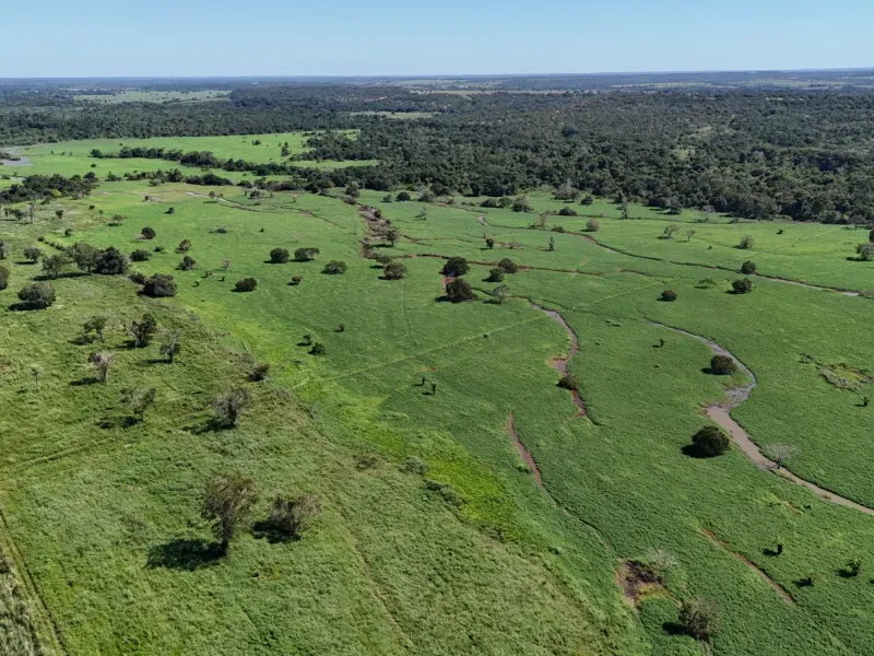 Fazenda em Chapada de Areia/Tocantins — Ref PKT0DG — Imagem 11