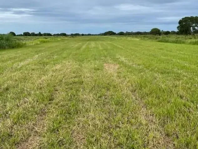 Fazenda em Cocalinho/Mato Grosso — Ref GG5HS8 — Imagem 7