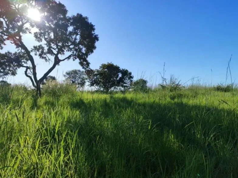 Fazenda em Cocalinho/Mato Grosso — Ref GG5HS8 — Imagem 13