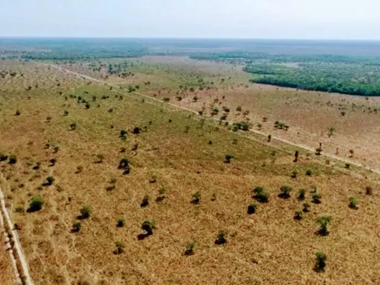 Fazenda em Cocalinho/Mato Grosso — Ref GG5HS8 — Imagem 16