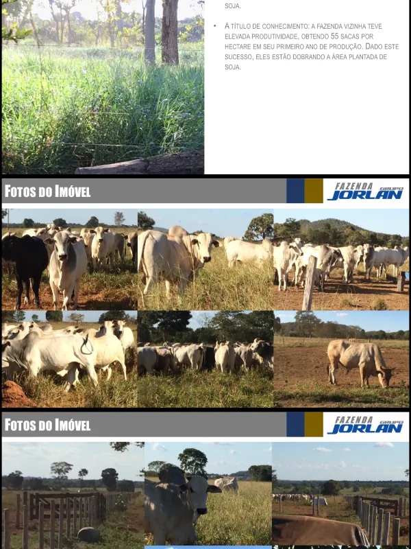 Fazenda em Cocalinho/Mato Grosso — Ref Z8JI6D — Imagem 11