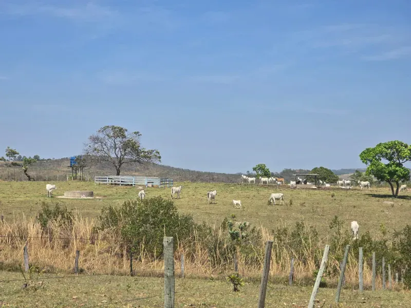 Imóvel rural em Cocalzinho de Goiás/Goiás — Ref ZSWGAX1