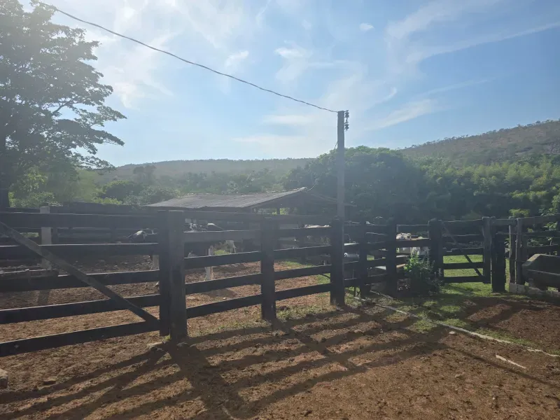 Fazenda em Cocalzinho de Goiás/Goiás — Ref ZSWGAX — Imagem 2