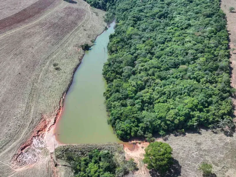Fazenda em Cocalzinho de Goiás/Goiás — Ref ZSWGAX — Imagem 7