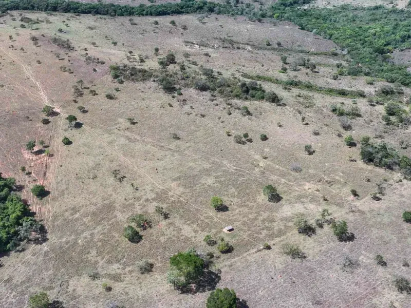 Fazenda em Cocalzinho de Goiás/Goiás — Ref ZSWGAX — Imagem 8