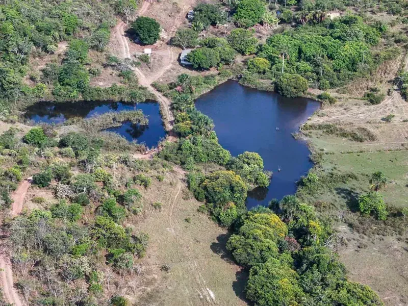 Fazenda em Cocalzinho de Goiás/Goiás — Ref ZSWGAX — Imagem 11