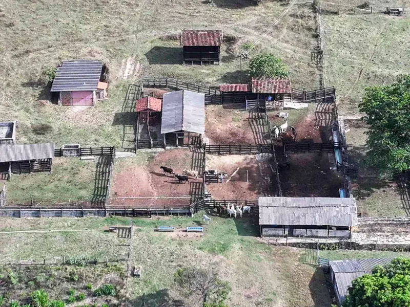 Fazenda em Cocalzinho de Goiás/Goiás — Ref ZSWGAX — Imagem 12
