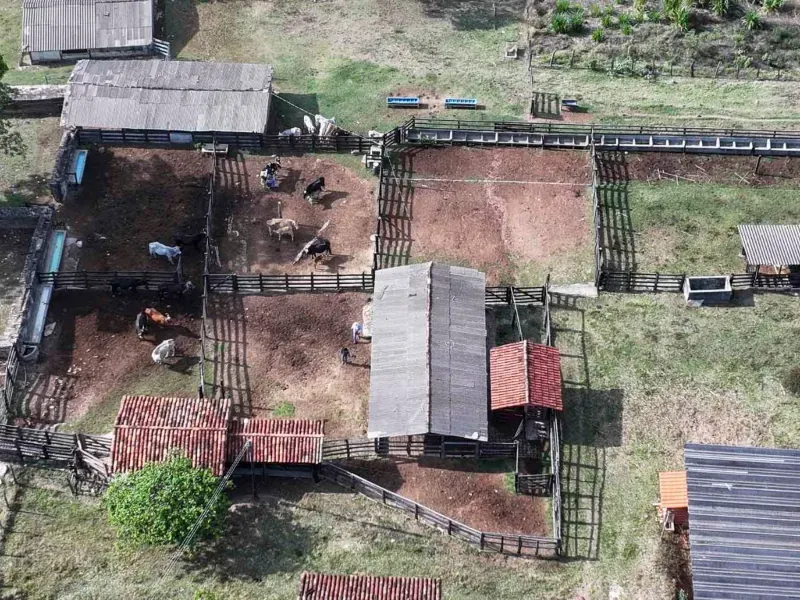 Fazenda em Cocalzinho de Goiás/Goiás — Ref ZSWGAX — Imagem 13