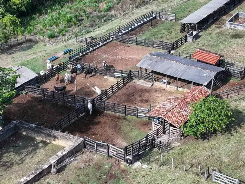 Fazenda em Cocalzinho de Goiás/Goiás — Ref ZSWGAX — Imagem 14