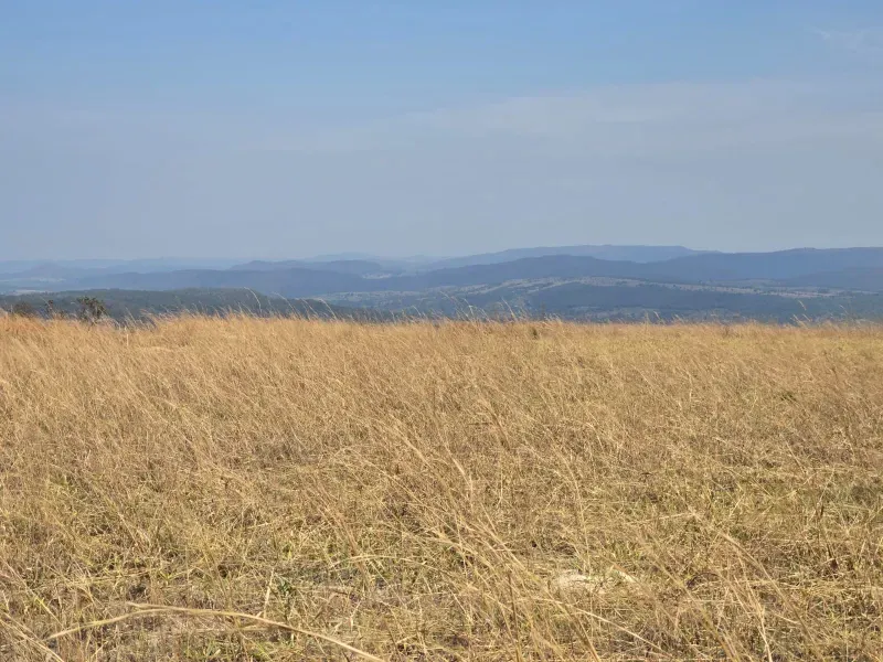 Fazenda em Cocalzinho de Goiás/Goiás — Ref ZSWGAX — Imagem 18