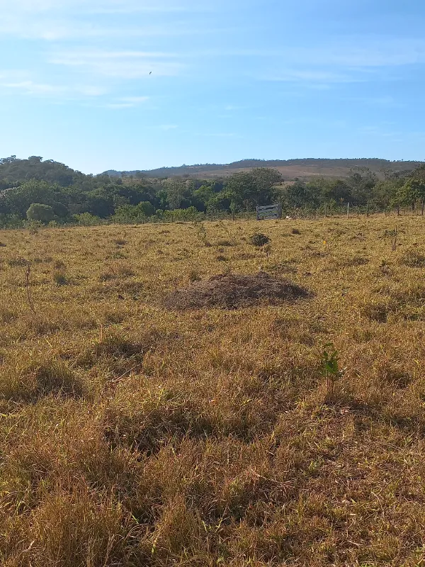 Fazenda em Cocalzinho de Goiás/Goiás — Ref ZSWGAX — Imagem 15