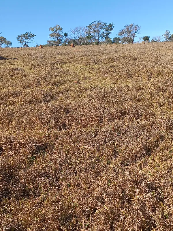 Fazenda em Cocalzinho de Goiás/Goiás — Ref ZSWGAX — Imagem 17