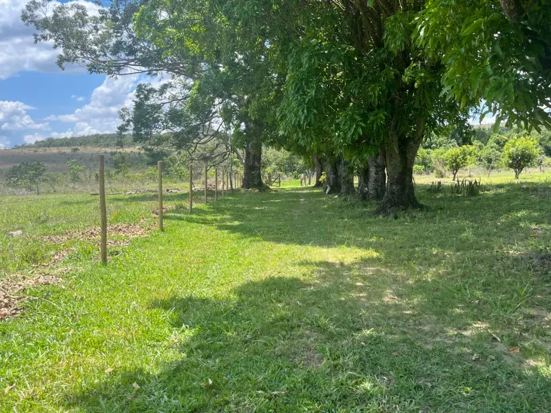 Fazenda em Cocalzinho de Goiás/Goiás — Ref 1TZV9M — Imagem 3
