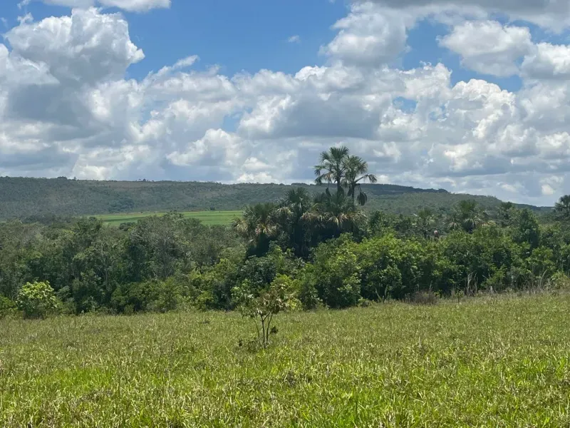 Fazenda em Cocalzinho de Goiás/Goiás — Ref 1TZV9M — Imagem 4