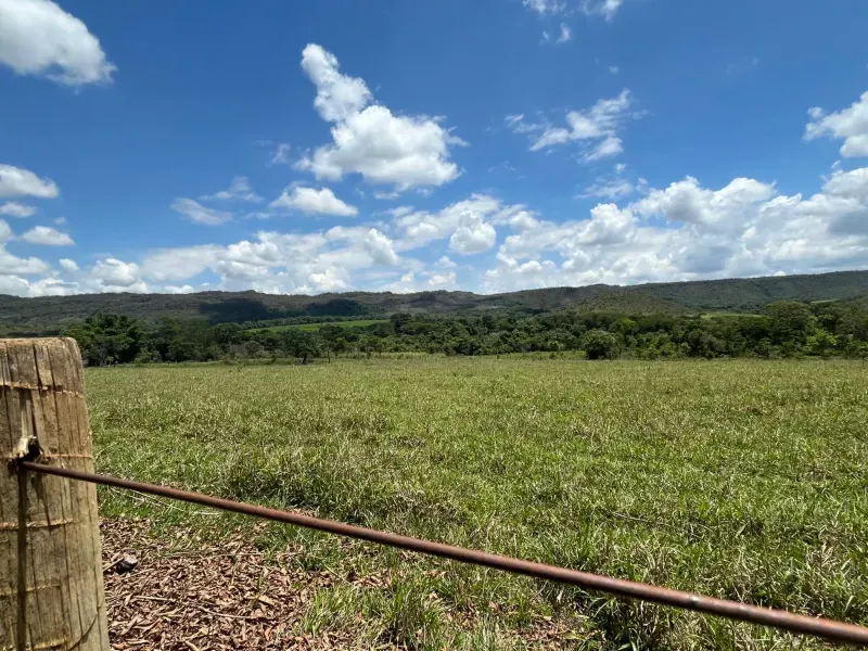 Fazenda em Cocalzinho de Goiás/Goiás — Ref 1TZV9M — Imagem 5