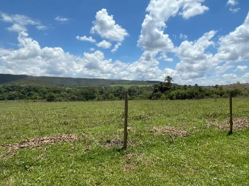 Fazenda em Cocalzinho de Goiás/Goiás — Ref 1TZV9M — Imagem 6
