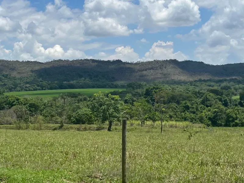 Fazenda em Cocalzinho de Goiás/Goiás — Ref 1TZV9M — Imagem 8