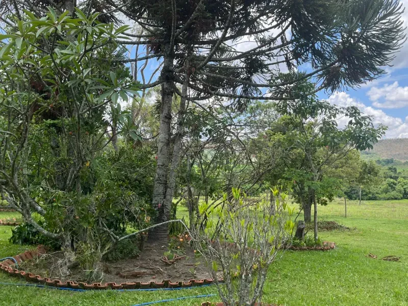 Fazenda em Cocalzinho de Goiás/Goiás — Ref 1TZV9M — Imagem 9