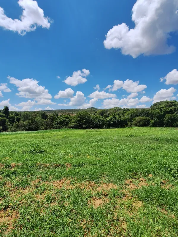 Fazenda em Cocalzinho de Goiás/Goiás — Ref 1TZV9M — Imagem 10