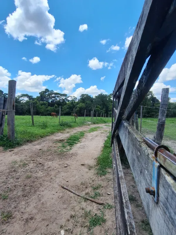 Fazenda em Cocalzinho de Goiás/Goiás — Ref 1TZV9M — Imagem 11