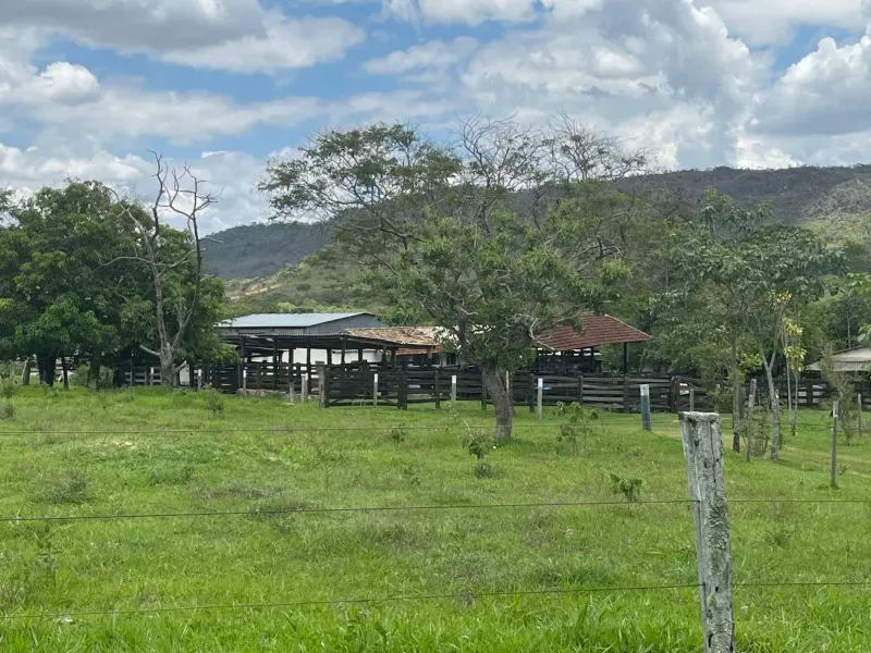 Fazenda em Cocalzinho de Goiás/Goiás — Ref 1TZV9M — Imagem 13
