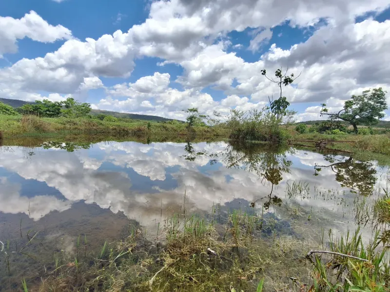 Fazenda em Cocalzinho de Goiás/Goiás — Ref 1TZV9M — Imagem 15