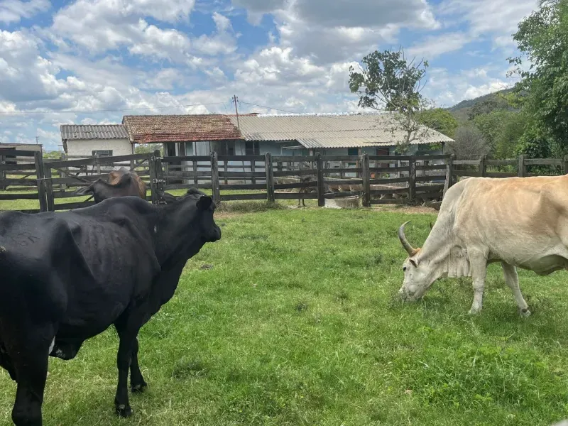 Fazenda em Cocalzinho de Goiás/Goiás — Ref 1TZV9M — Imagem 24