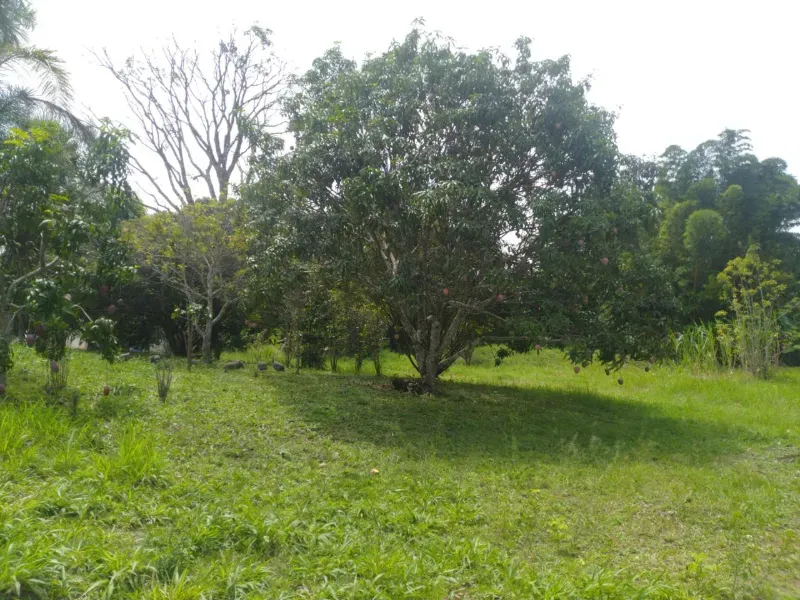 Fazenda em Cocalzinho de Goiás/Goiás — Ref 7J1XV7 — Imagem 3