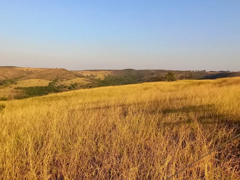 Imóvel rural em Cocalzinho de Goiás/Goiás — Ref 7J1XV71