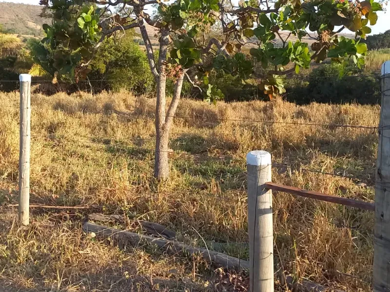 Fazenda em Cocalzinho de Goiás/Goiás — Ref 7J1XV7 — Imagem 4