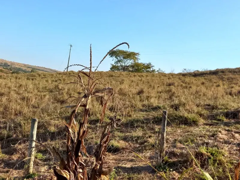 Fazenda em Cocalzinho de Goiás/Goiás — Ref 7J1XV7 — Imagem 5