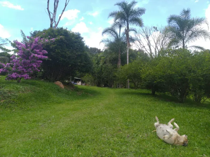 Fazenda em Cocalzinho de Goiás/Goiás — Ref 7J1XV7 — Imagem 6