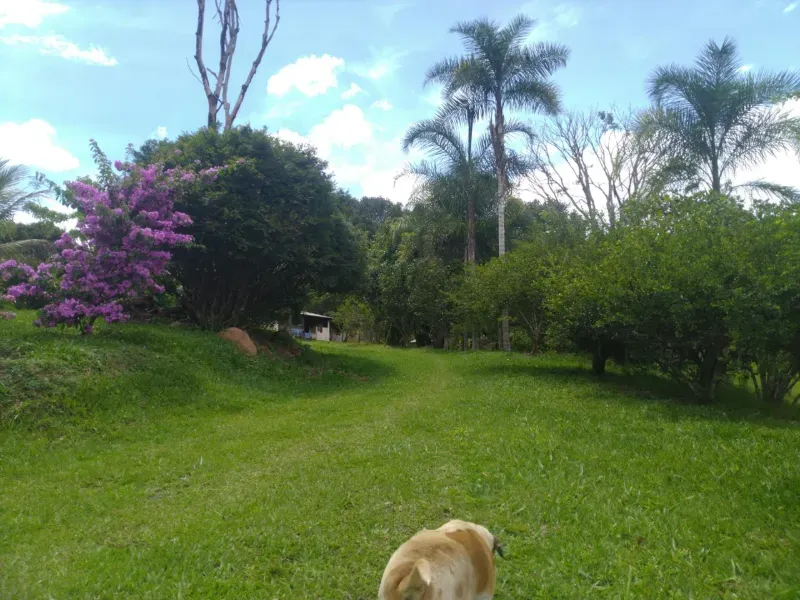 Fazenda em Cocalzinho de Goiás/Goiás — Ref 7J1XV7 — Imagem 7