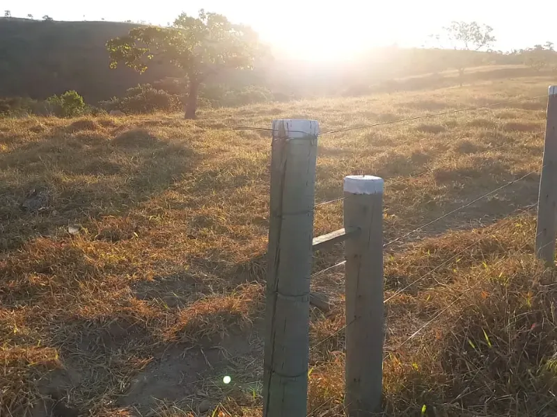 Fazenda em Cocalzinho de Goiás/Goiás — Ref 7J1XV7 — Imagem 15