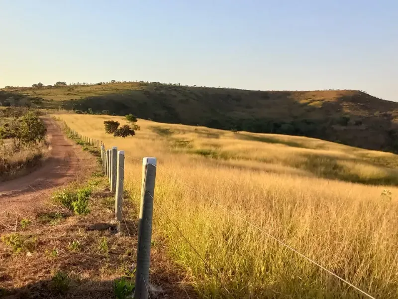 Fazenda em Cocalzinho de Goiás/Goiás — Ref 7J1XV7 — Imagem 16