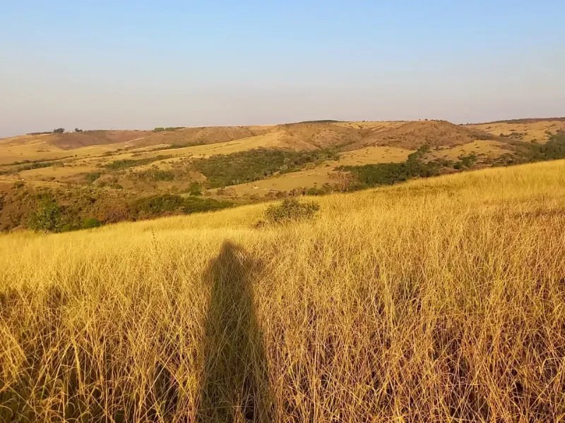 Fazenda em Cocalzinho de Goiás/Goiás — Ref 7J1XV7 — Imagem 17