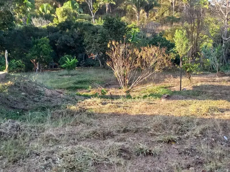 Fazenda em Cocalzinho de Goiás/Goiás — Ref 7J1XV7 — Imagem 20