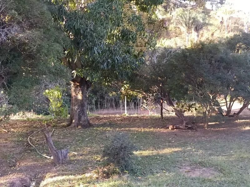 Fazenda em Cocalzinho de Goiás/Goiás — Ref 7J1XV7 — Imagem 21