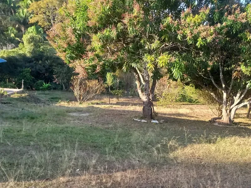 Fazenda em Cocalzinho de Goiás/Goiás — Ref 7J1XV7 — Imagem 23