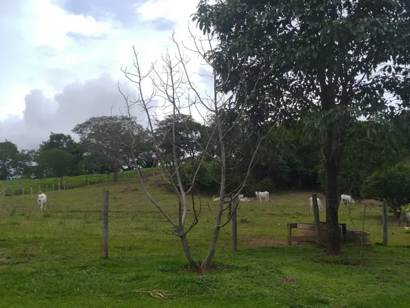 Fazenda em Cocalzinho de Goiás/Goiás — Ref 7J1XV7 — Imagem 25