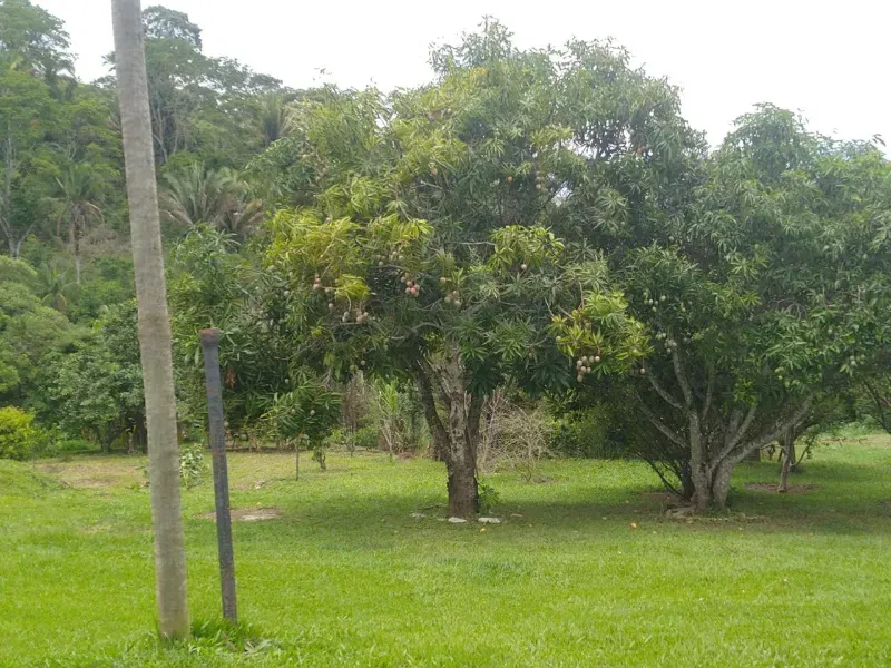 Fazenda em Cocalzinho de Goiás/Goiás — Ref 7J1XV7 — Imagem 28